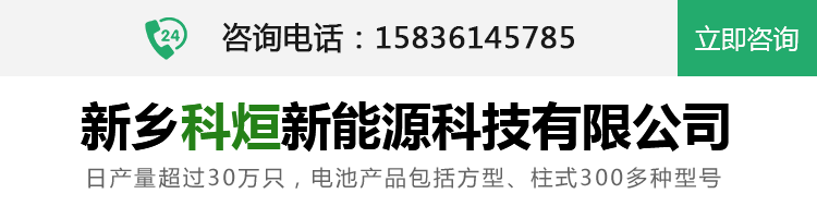 新乡九游老哥俱乐部官方网站新能源科技有限公司